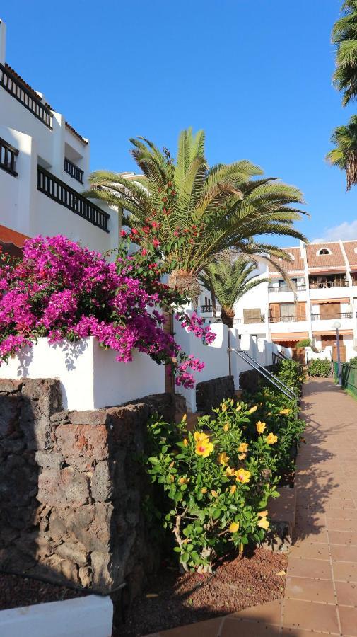 Apartamento En Tenerife Sur, Parque Santiago 2 أرونا المظهر الخارجي الصورة