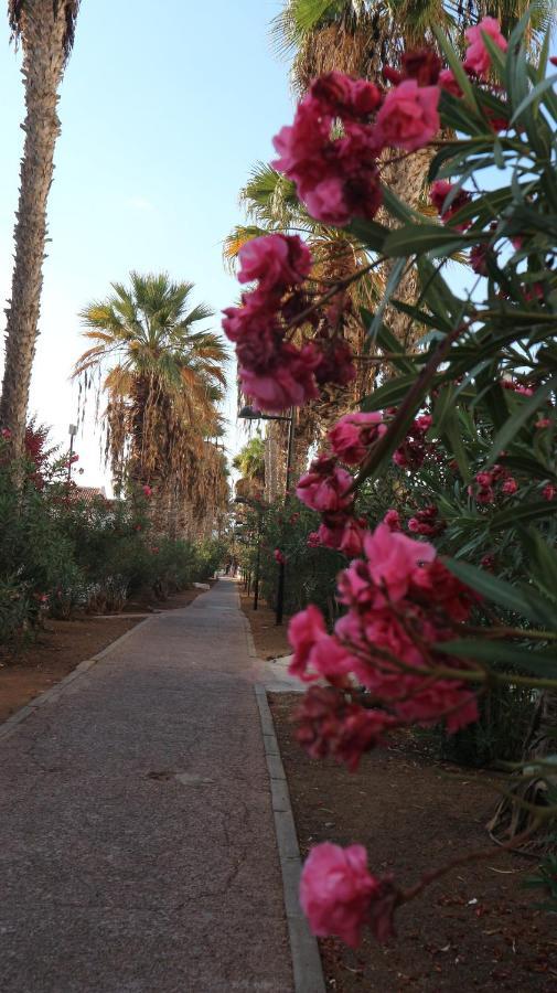 Apartamento En Tenerife Sur, Parque Santiago 2 أرونا المظهر الخارجي الصورة